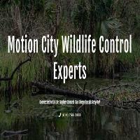 Motion City Wildlife Control Experts image 1